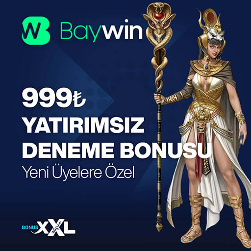 Baywin